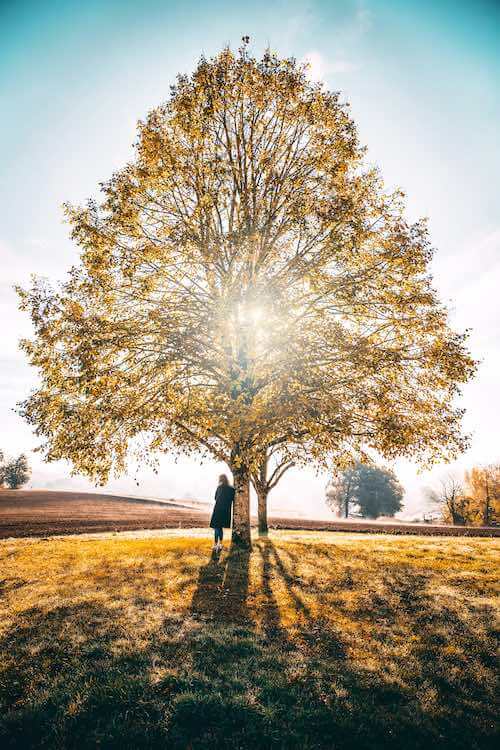 Femme adossée à un grand arbre lumineux