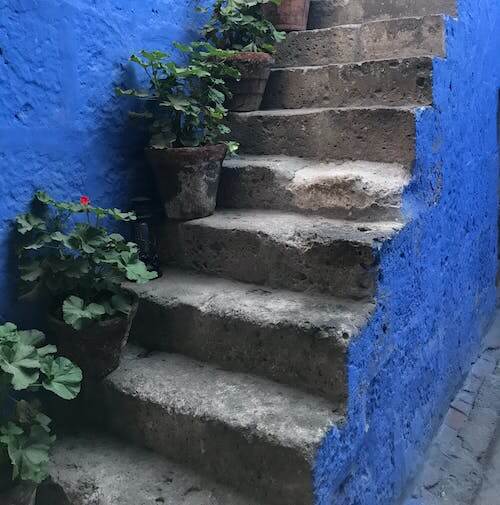 Escaliers bleus décorés de rosiers, exprimant les marches à monter pour atteindre le succès digital, accompagné par Elanka